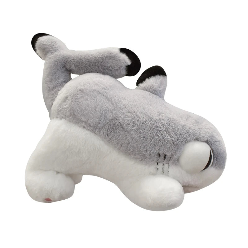 Genuine Sharkitty Plush Doll Cartoon Plush Toy Anime Figure Standing Action Figures Room Decoration Girl Surprise Gift