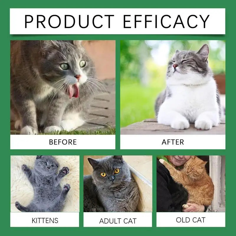 Nutrition Health Products For Cat Health Care Product For Cat Health Products For Cats Supplementing Nutrition For Elderly Cats cat food