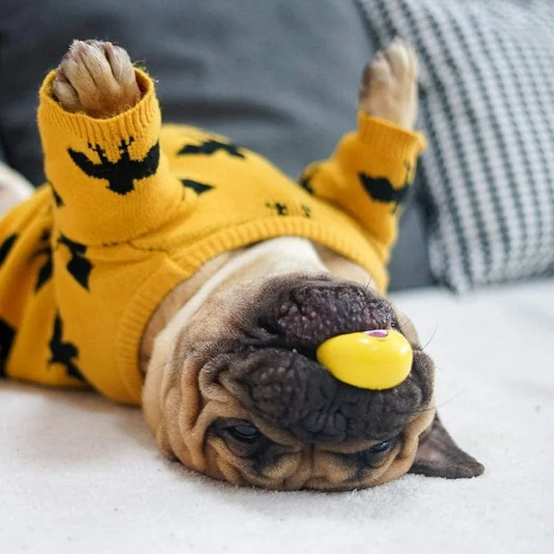 Guaranteed to bring joy and have their tails wagging happily, these high-quality, lively, and engaging squeaky balls for pets ar dog toy