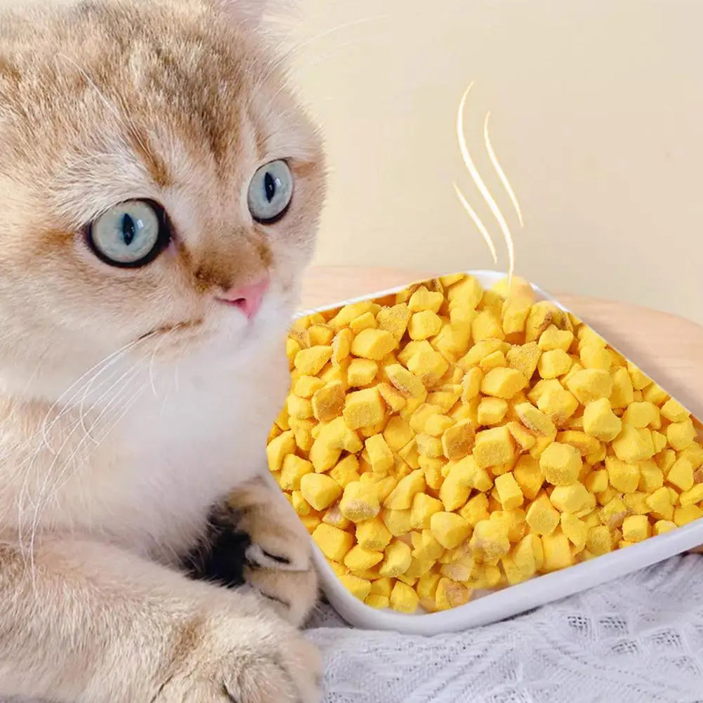 Freeze-dried Egg Yolks Cat Dog Snack 100g/200gsupplement Lecithin Hair Snacks Quail Skin Beauty Pet Care Lysine Nutrition R E4I2 cat food dog food