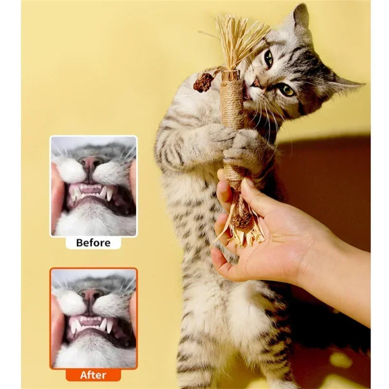 1/2/5/10PCS Pet Toy Natural Matatabi Pet Cat Snacks Stick Cleaning Tooth Catnip Cat Toys Actinidia Silvervine For Cats Accessory cat toy