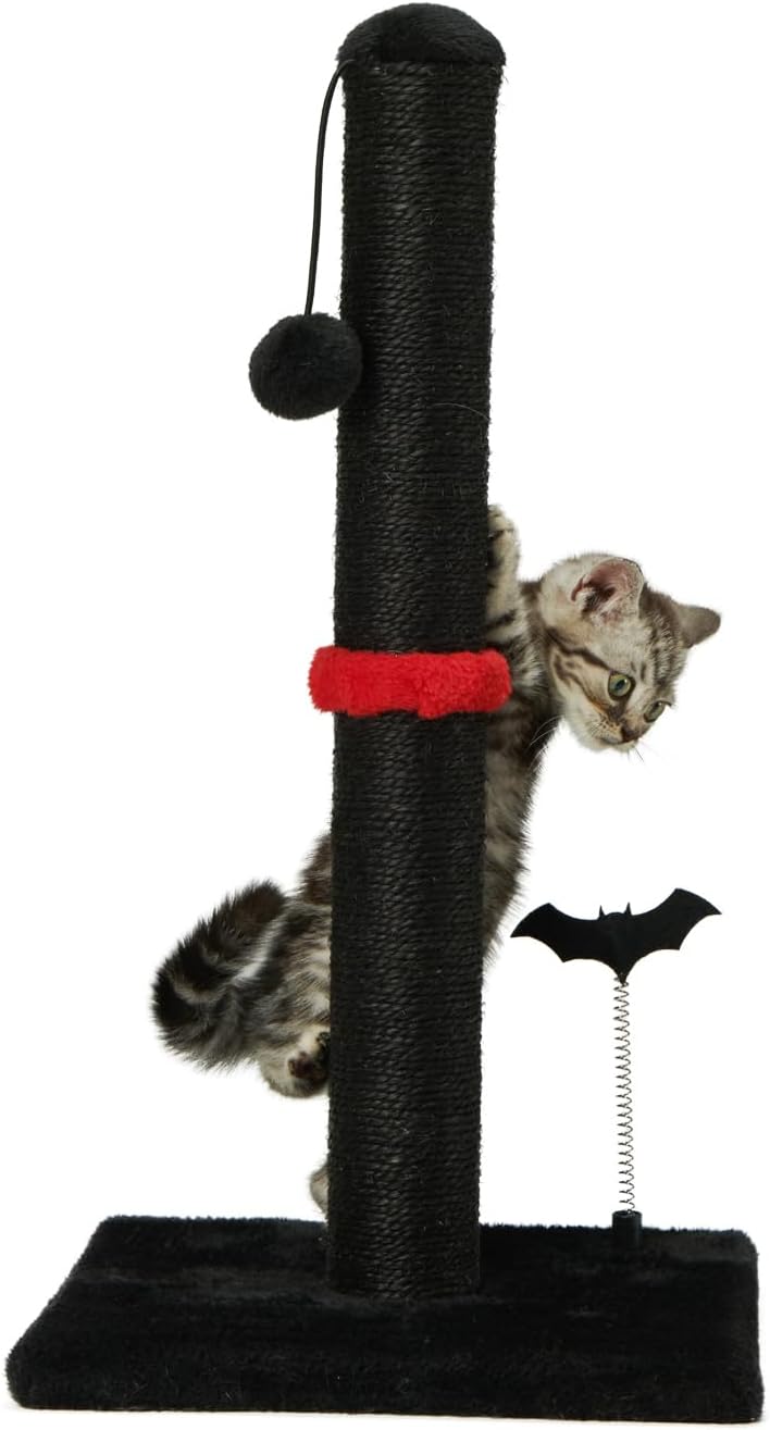Manufacturer  MECOOL Cat Scratching Post Premium Basics Kitten Scratcher Sisal Scratch Posts with Hanging Ball 22in for Kittens or Smaller Cats (22 inches for Kitten, Beige)    Cat toy