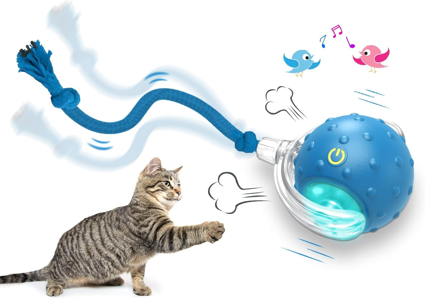 Manufacturer  Interactive Cat Toys Ball for Indoor Cats Fast Rolling on Carpet, Chirping & Motion Activate Cat Toys (Blue)    Cat toy