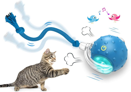 Manufacturer  Interactive Cat Toys Ball for Indoor Cats Fast Rolling on Carpet, Chirping & Motion Activate Cat Toys (Blue)    Cat toy
