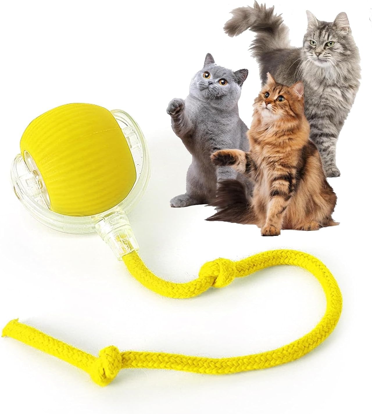 Manufacturer  Rocfish Durable Interactive Cat Toys for Indoor Cats, Smart Automatic Cat Chase Ball Toy, Upgraded Speedy Tail Kitten Toy for Bored Indoor Adult Pets (Red)    Cat toy