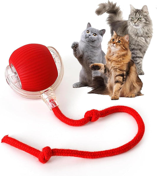 Manufacturer  Rocfish Durable Interactive Cat Toys for Indoor Cats, Smart Automatic Cat Chase Ball Toy, Upgraded Speedy Tail Kitten Toy for Bored Indoor Adult Pets (Red)    Cat toy