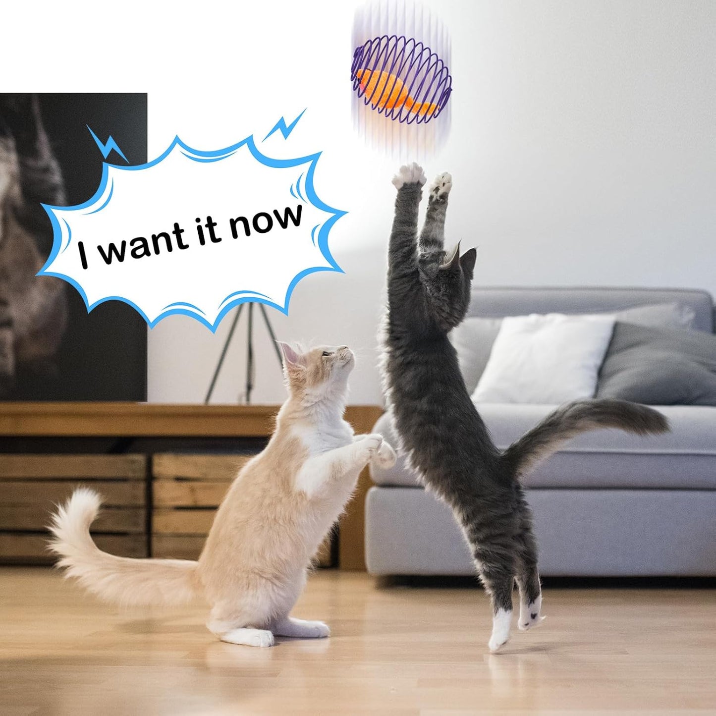 Manufacturer  Jecery 5 Pcs Halloween Cat Spring Balls Toys Stretchable Rolling Balls Colorful Playful Coils Interactive Spring Action Toy Caged Rats for Kitten Cat Pet Supplies(Mouse,Multicolor,5 Pcs)    Cat toy