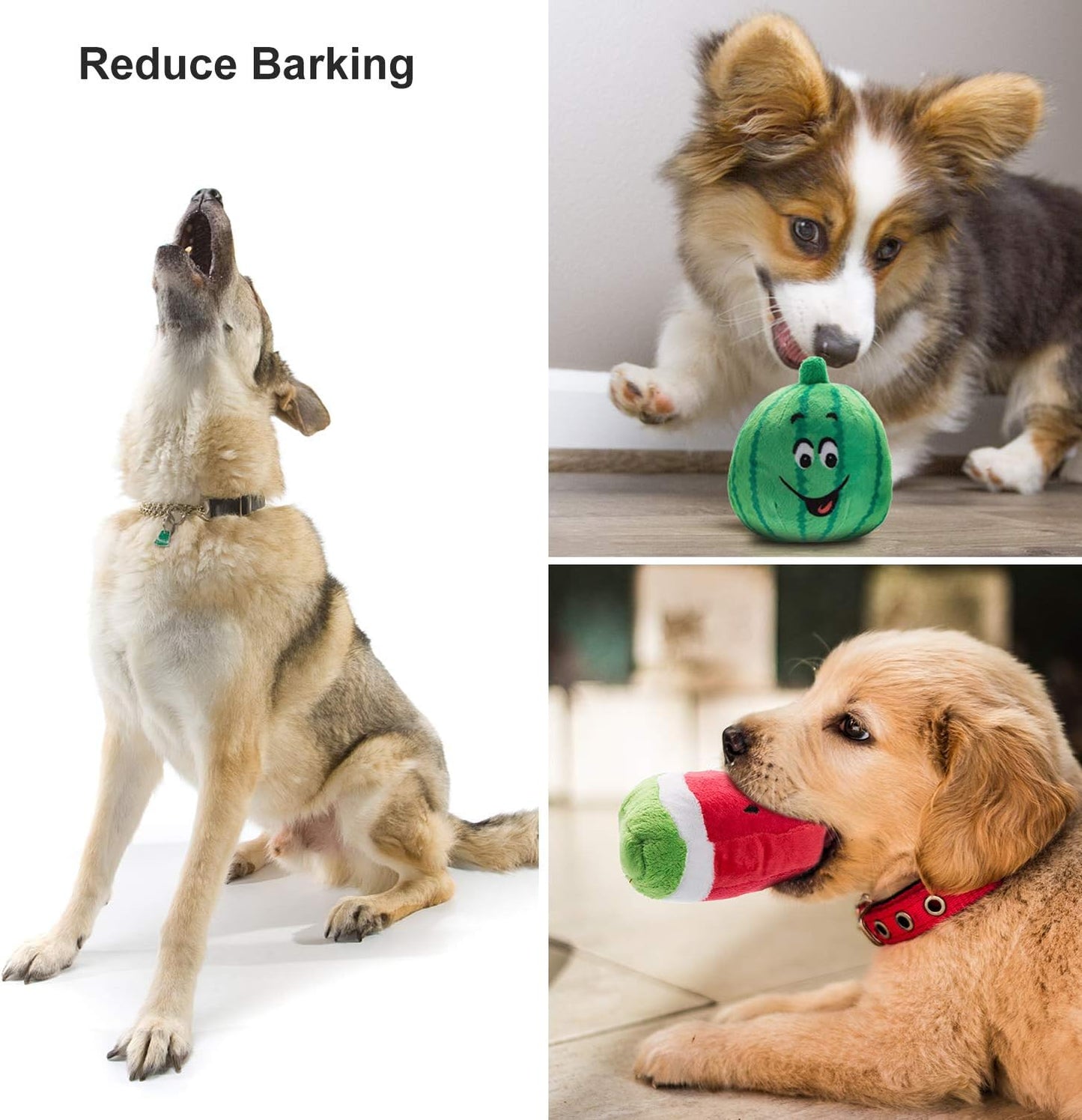 Manufacturer   Nocciola Dog Squeaky Toys, Plush Small Dog Toys for Dogs, Stuffed with Squeakers,12 pcs Puppy Toys with a Carrying Bag for Small Medium Size    Dog toy