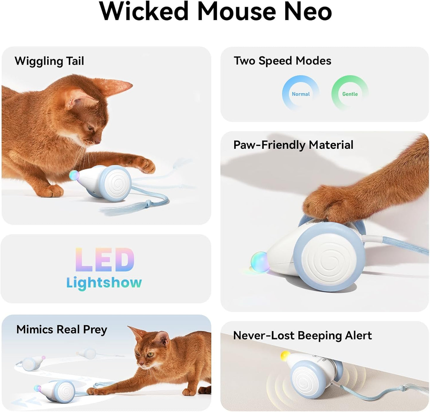 Manufacturer  Cheerble Interactive Cat Toys for Indoor Cats, Automatic Moving Kitten Toys, Wicked Mouse Neo Cat Toy with Tail & Lights, Pet Cat Supplies, Rechargeable Cat Toys for Bored Indoor Adult Cats,Blue    Cat toy