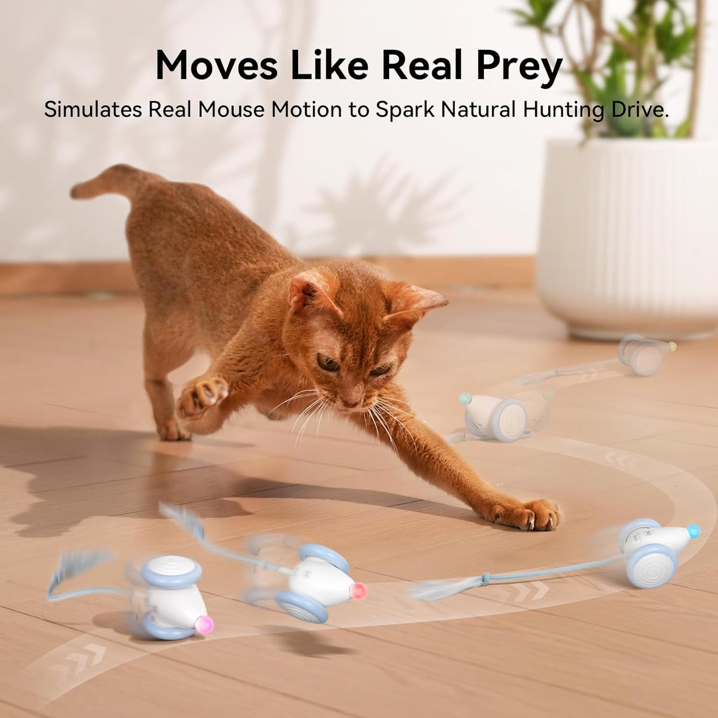 Manufacturer  Cheerble Interactive Cat Toys for Indoor Cats, Automatic Moving Kitten Toys, Wicked Mouse Neo Cat Toy with Tail & Lights, Pet Cat Supplies, Rechargeable Cat Toys for Bored Indoor Adult Cats,Blue    Cat toy