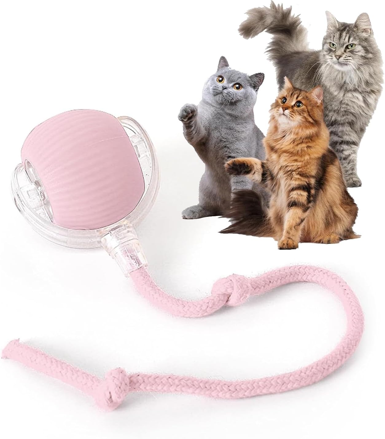 Manufacturer  Rocfish Durable Interactive Cat Toys for Indoor Cats, Smart Automatic Cat Chase Ball Toy, Upgraded Speedy Tail Kitten Toy for Bored Indoor Adult Pets (Red)    Cat toy