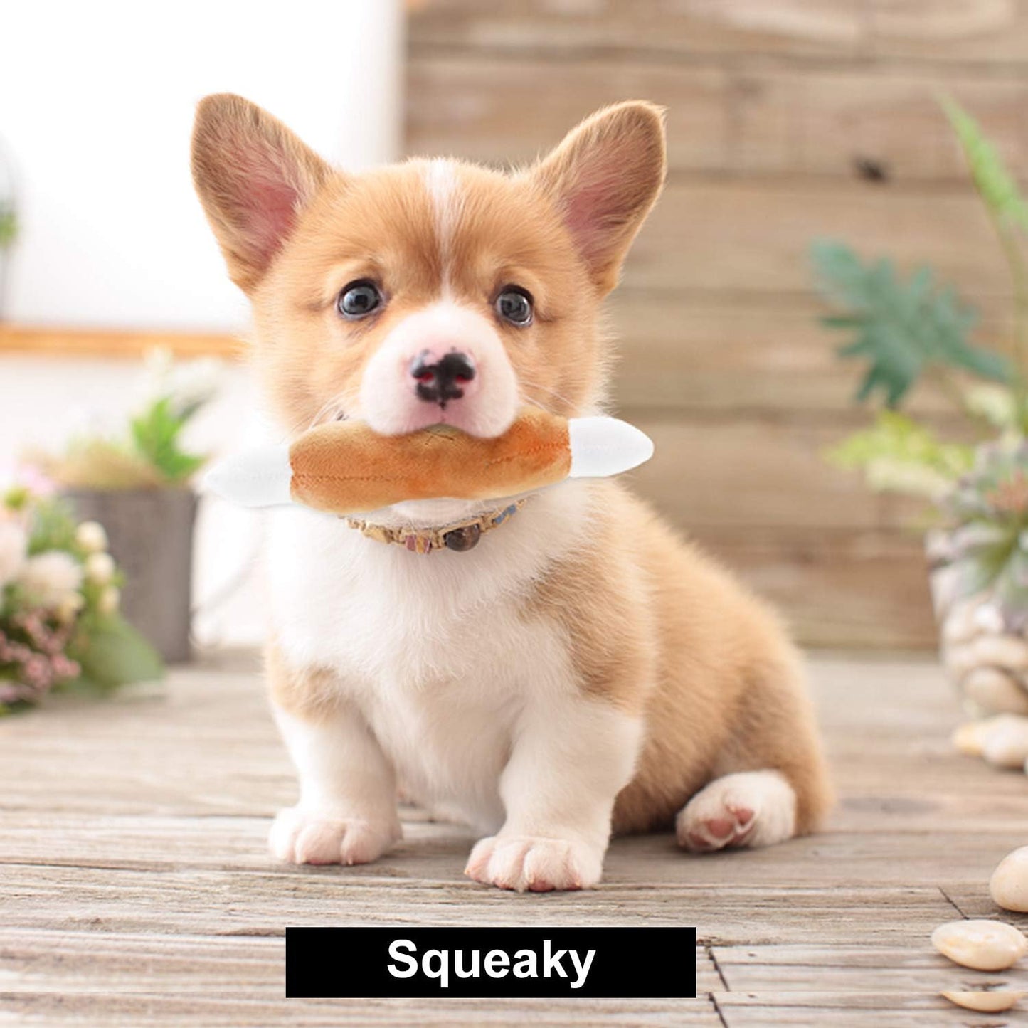 Manufacturer   Nocciola Dog Squeaky Toys, Plush Small Dog Toys for Dogs, Stuffed with Squeakers,12 pcs Puppy Toys with a Carrying Bag for Small Medium Size    Dog toy