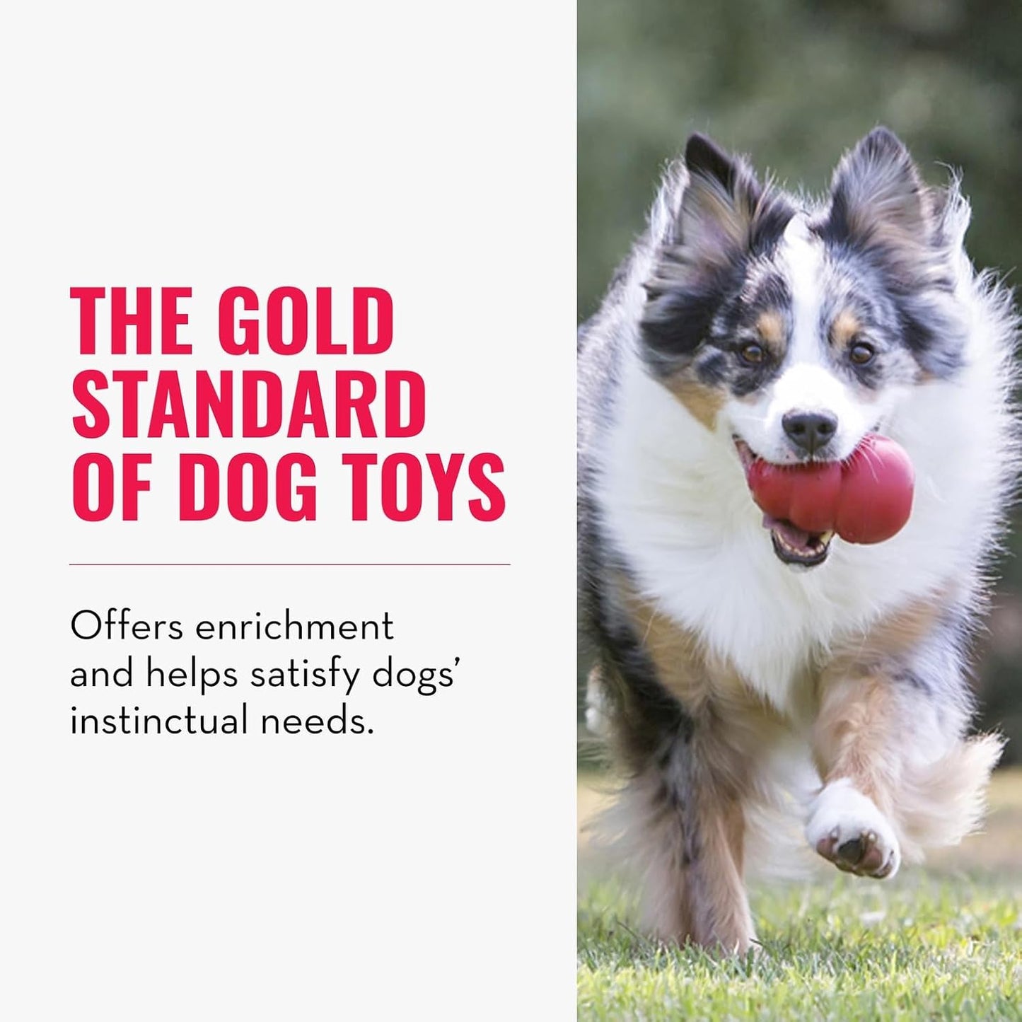 Manufacturer   KONG Classic Stuffable Dog Toy - Fetch & Chew Toy for Dogs - Treat-Filling Capabilities & Erratic Bounce for Extended Play Time - Durable Natural Rubber Material - for Large Dogs    Dog toy