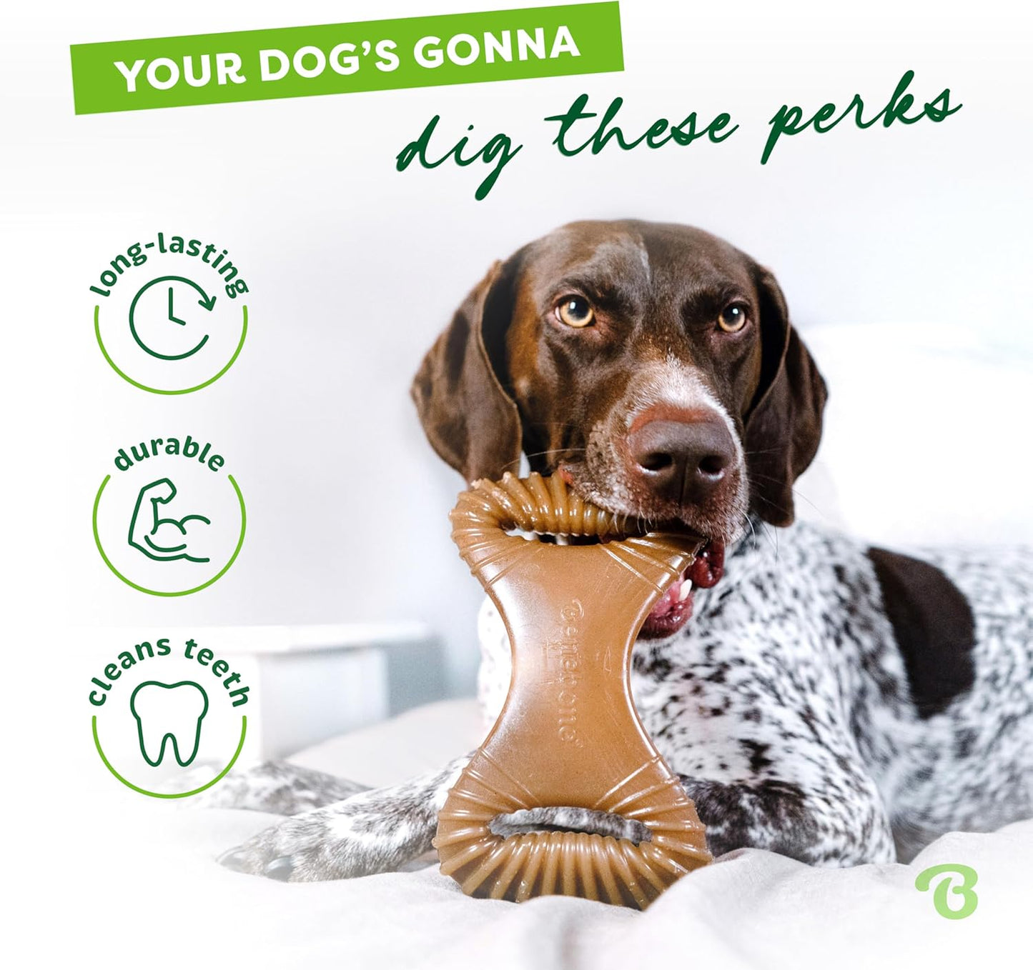 Manufacturer   Benebone Dental Durable Dog Chew Toy for Aggressive Chewers, Real Bacon, Made in USA, Medium    Dog toy