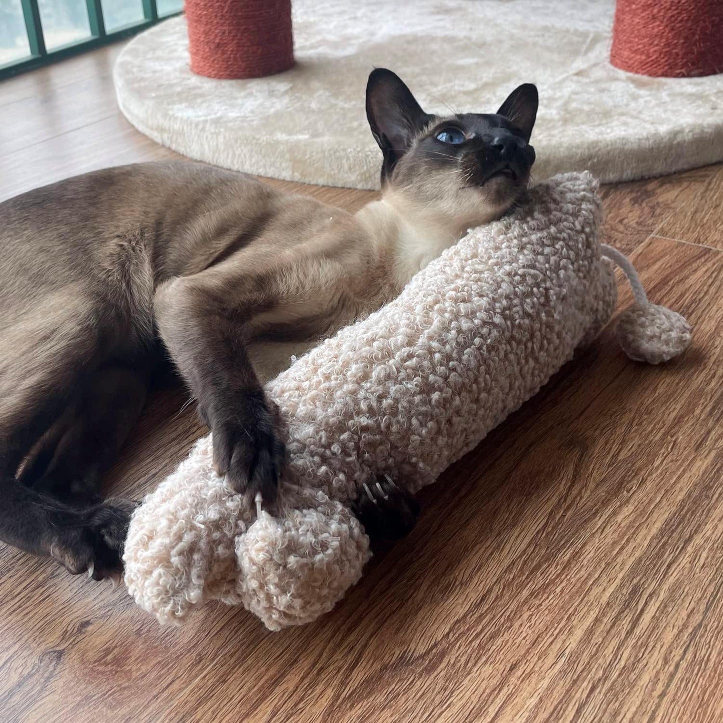 Manufacturer  TTcat Catnip Silvervine Matatabi Pillow for Cats & Kittens,Cat Kicker Toy,Large Size Cat Pillow Soothing Plush Cat Toy(Beige).    Cat toy