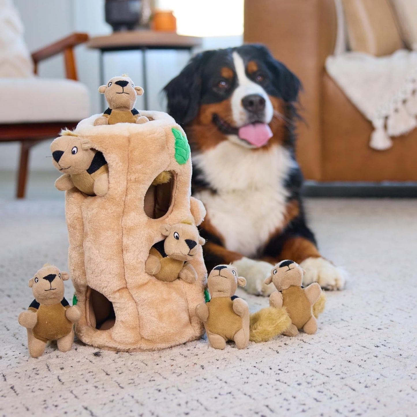 Manufacturer   Outward Hound Hide A Squirrel Plush Dog Toy Puzzle, XL    Dog toy