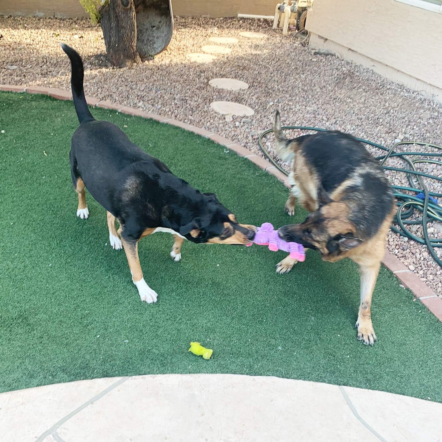 Manufacturer   Jalousie Plush Toys Assortment Value Bundle Puppy Pet Mutt Squeak Toy for Medium Large Dogs (5 Pack Corduroy)    Dog toy