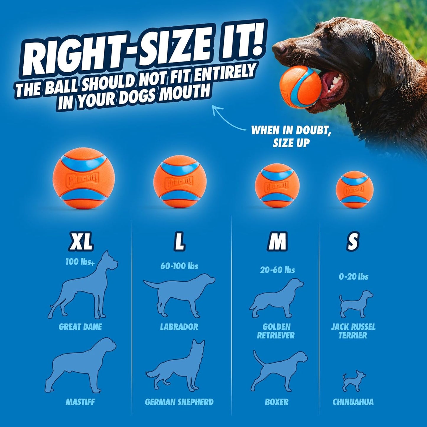 Manufacturer   Chuckit! Dog Balls - Interactive Dog Toys, High-Bounce Fetch Ball, Ultra and Rugged Balls, Durable - Size Medium, 2.5-inch Diameter, Set of 3    Dog toy