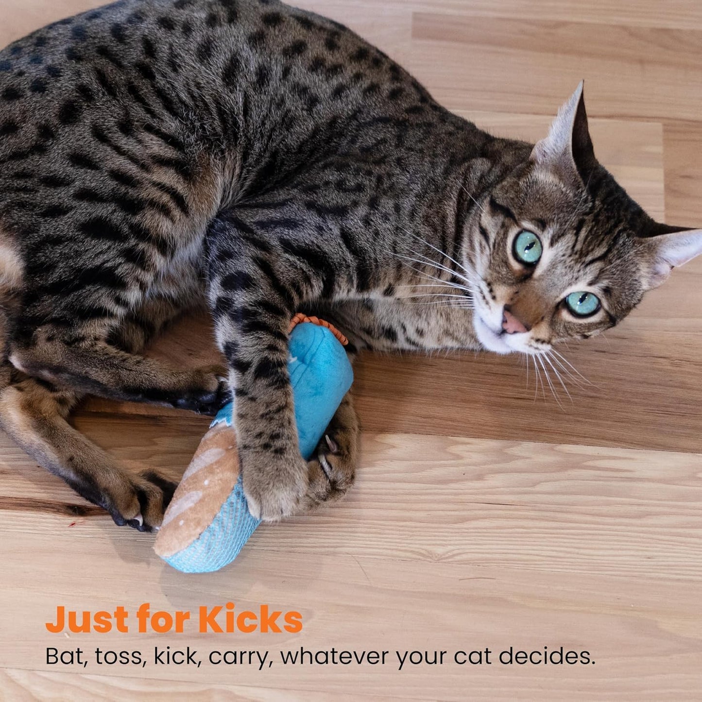 Manufacturer  Catstages Loaf Kicker Toy with Catnip and Dental Mesh, Bread Shape, Plush and Ribbon Cat Toy for Kicking, Tossing, and Teeth Cleaning, Tan    Cat toy