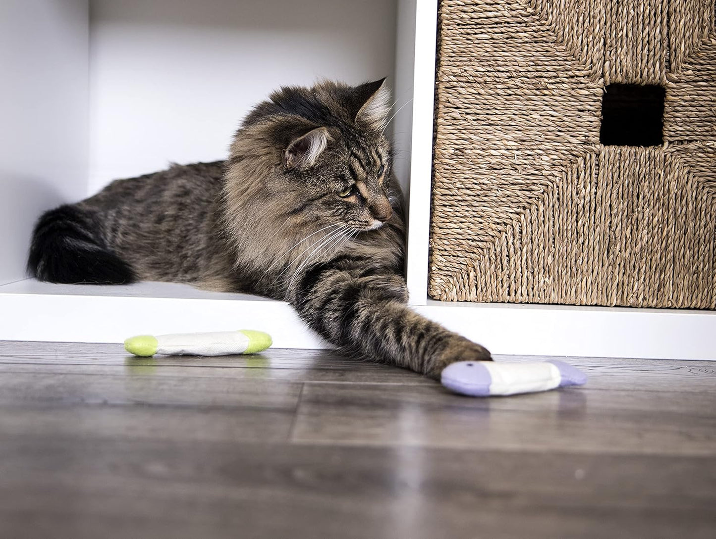 Manufacturer  SmartyKat (3 Count) Fish Flop Crinkle Catnip Cat Toys - Multi Color, 3 Count    Cat toy