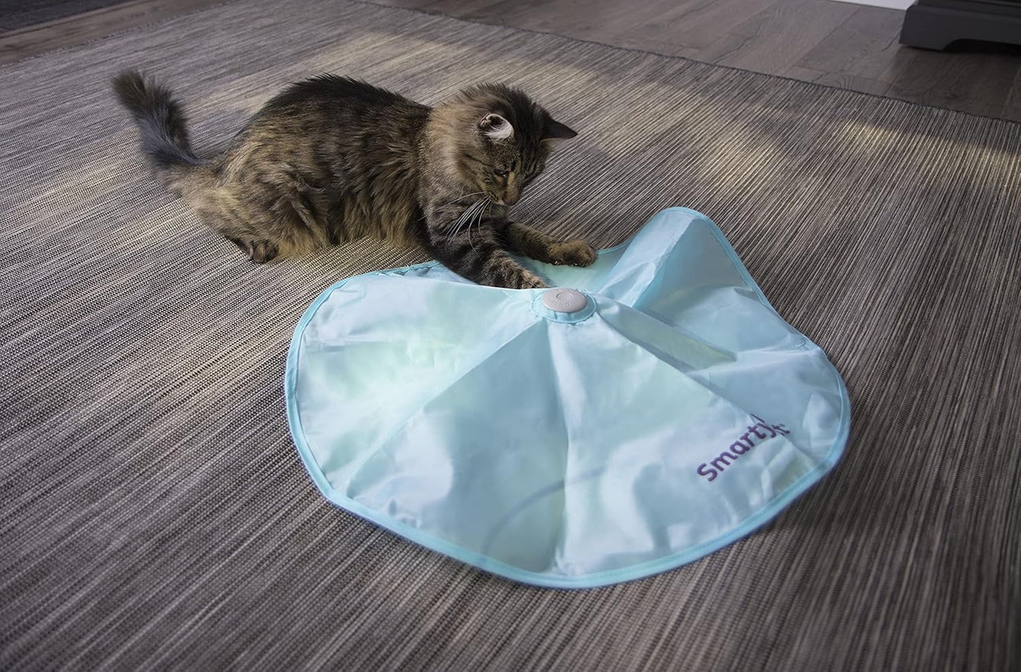 Manufacturer  SmartyKat Electronic Motion/Moving Toys for Cats & Kittens, Battery Powered, Mimics Motion of Real Prey, Fun & Interactive Play - Multiple Styles    Cat toy