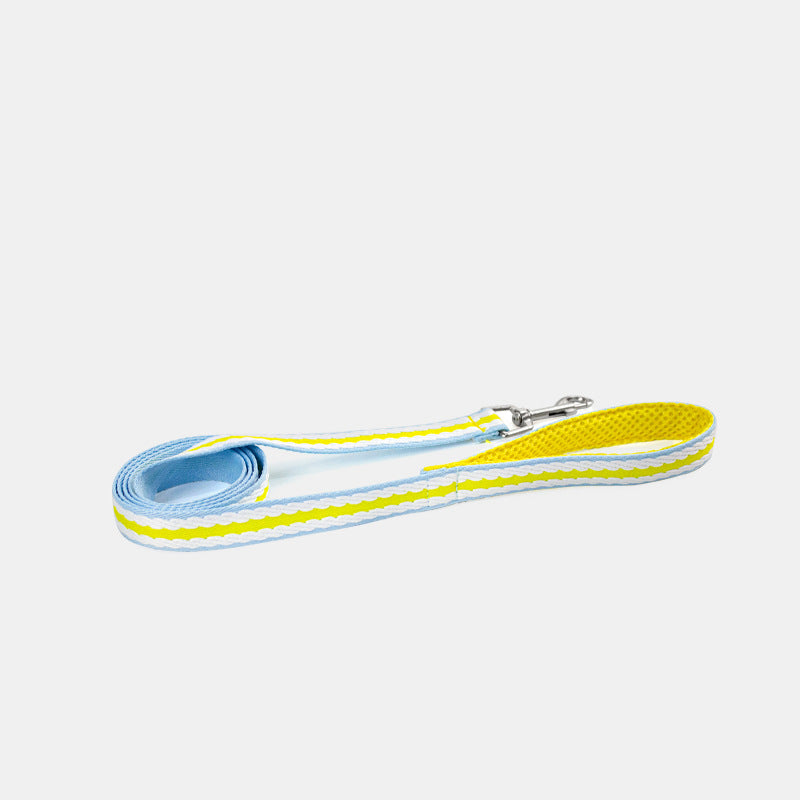 Summer dog leash contrasting colors soft breathable pet chest strap small dog dog chest back walking dog toy