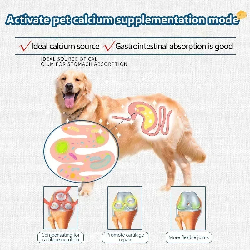 Dog Snacks Food Freeze Dried Cheese Calcium Supplement Milk Tablet Probiotics Promote Intestinal Digestion Pet Dog Snacks Foods  dog food