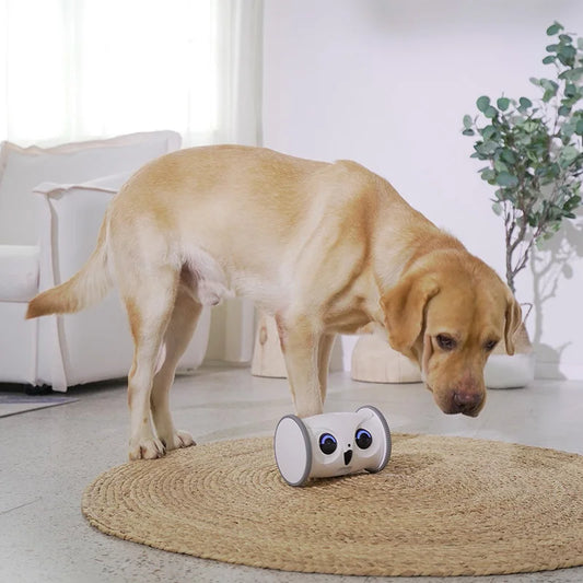 BOOTEELY Upgraded Automatic Smart Pet Toy Interactive Owl Robot Wifi With1080p Hd Video Camera Cat Dog Pet Supplies