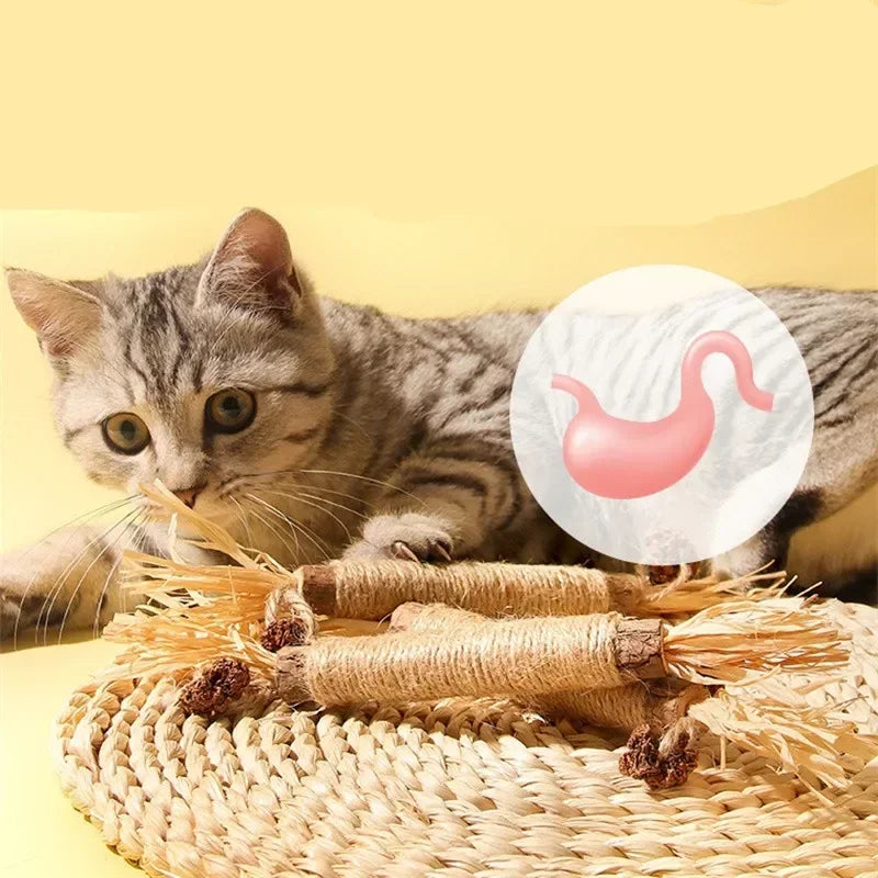 1/2/5/10PCS Pet Toy Natural Matatabi Pet Cat Snacks Stick Cleaning Tooth Catnip Cat Toys Actinidia Silvervine For Cats Accessory  cat toy