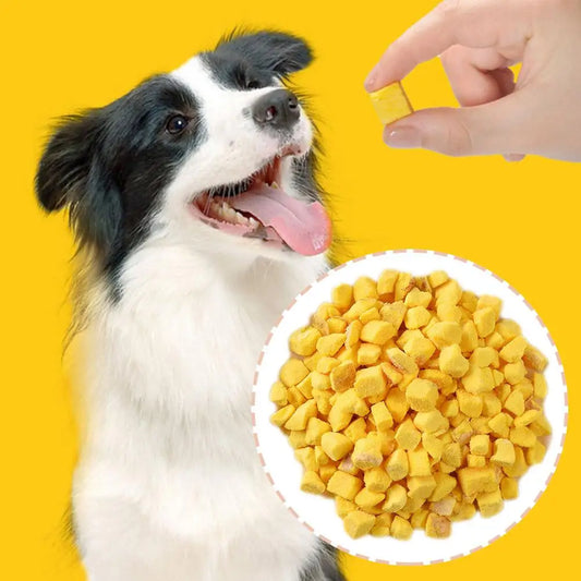 Freeze-dried Egg Yolks Cat Dog Snack 100g/200gsupplement Lecithin Hair Snacks Quail Skin Beauty Pet Care Lysine Nutrition R E4I2  cat food dog food