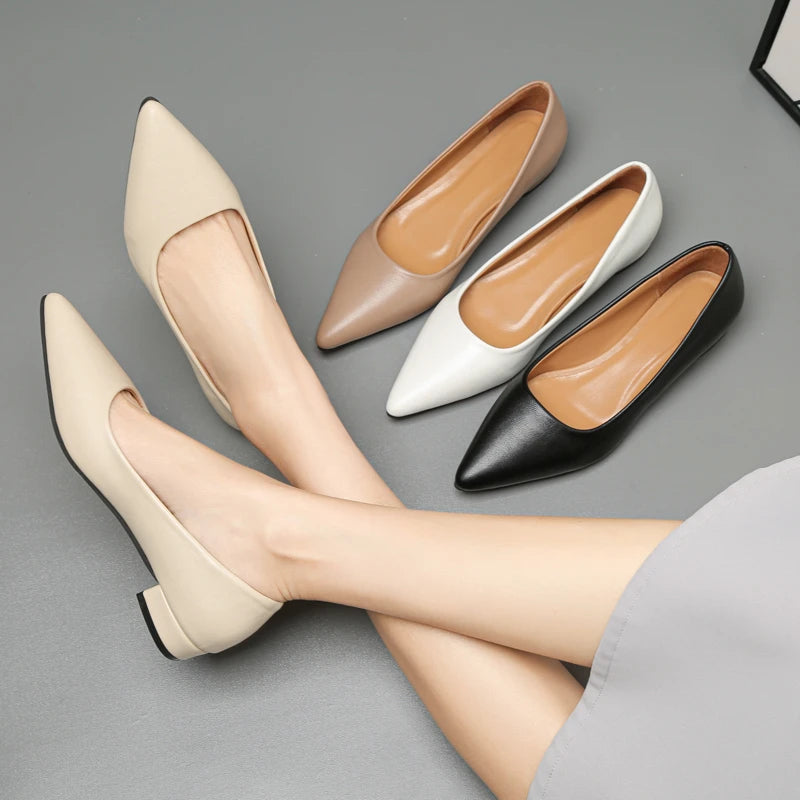 Manufacturer   New Pointed Toe Shallow Mouth Square Heel Small Leather Shoes Women's Elegant Fashion High Heels Dress Shoes Zapatos Mujer   Pumps