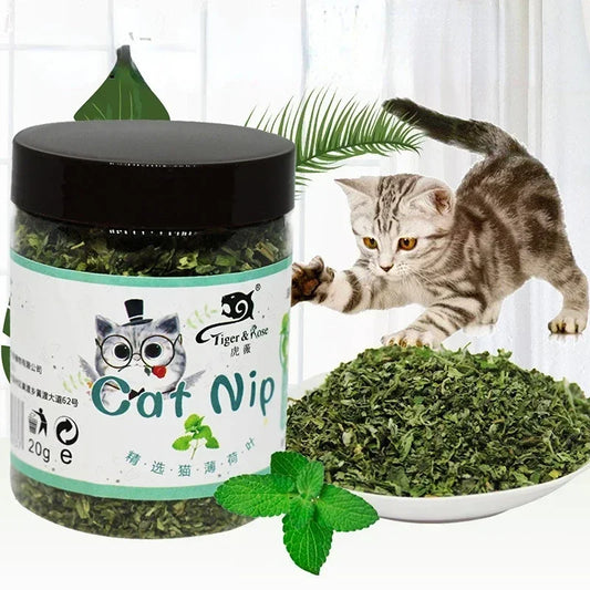 Organic 100% Natural High Quality Catnip Cattle Grass Mint Taste Funny Cat Toy New Cat Toy Interactive Cat Toys Pet Supplies Toy  cat food