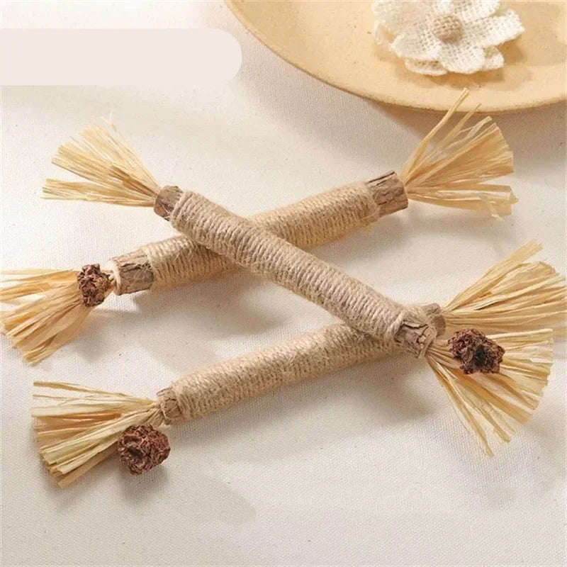 1/2/5/10PCS Pet Toy Natural Matatabi Pet Cat Snacks Stick Cleaning Tooth Catnip Cat Toys Actinidia Silvervine For Cats Accessory  cat toy