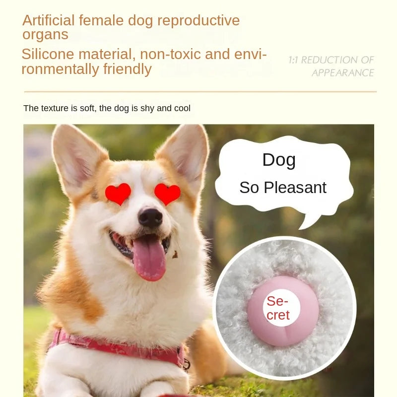 Silicone Dog Venting Toys Fire Shedding Estrus Partner Fire Shedding Mating Teddy Leg Toys Play Sleep Good Friends Pet Supplies